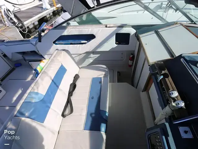 Sea Ray 300 Sundancer