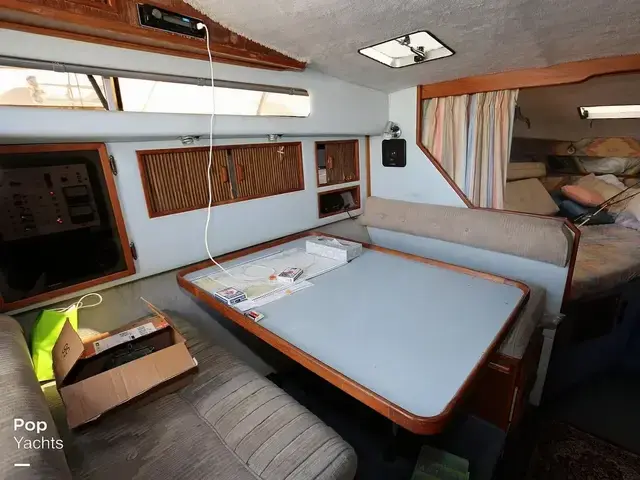 Sea Ray 300 Sundancer