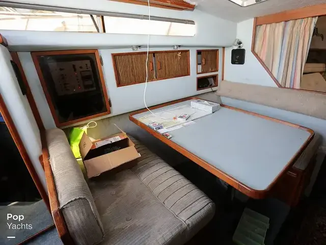 Sea Ray 300 Sundancer