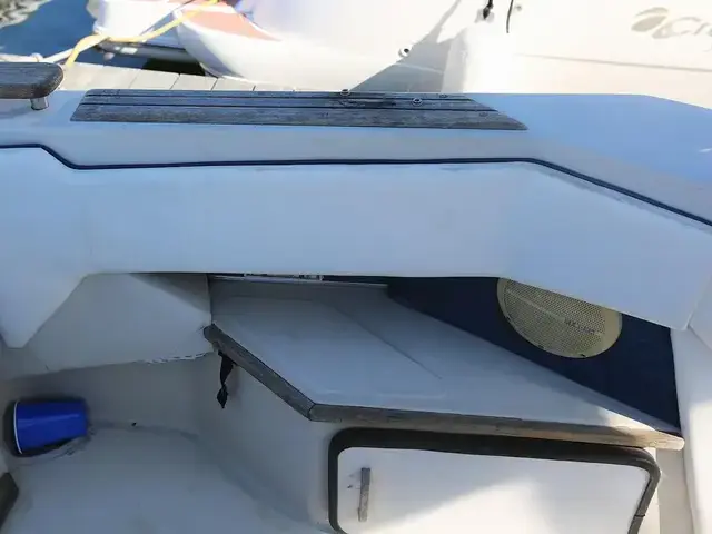 Sea Ray 300 Sundancer