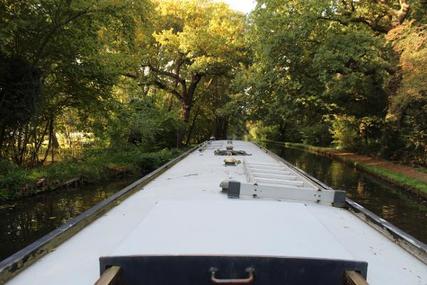 Narrowboat 50' Cruiser Stern