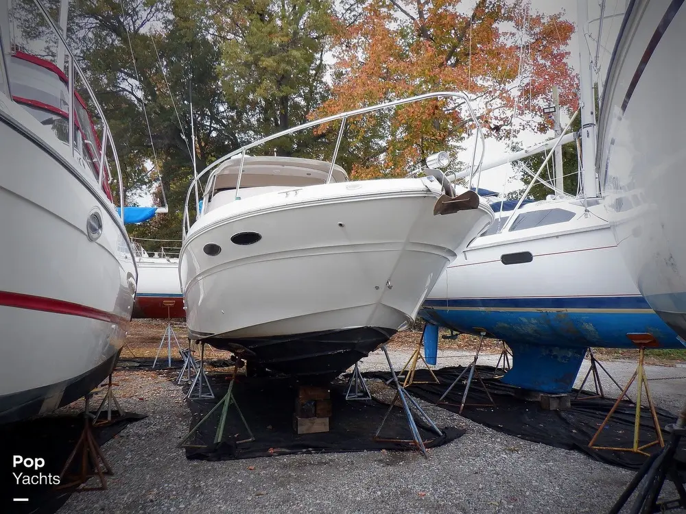 1999 Sea Ray sundancer 310