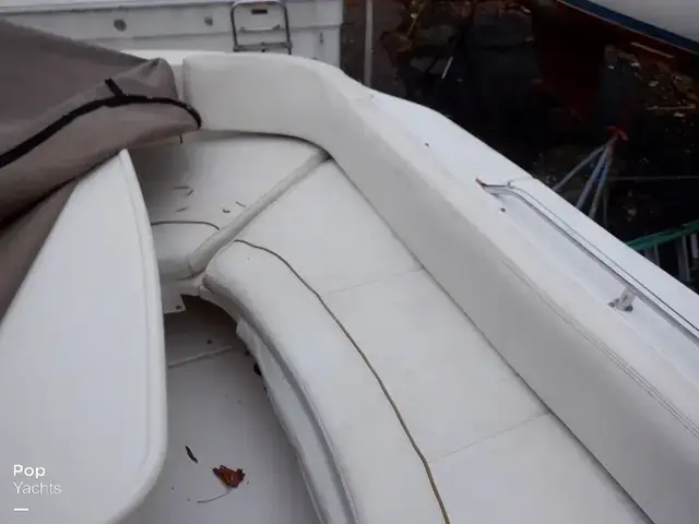 Sea Ray 310 Sundancer