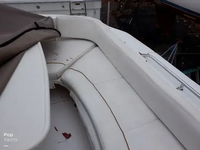 Sea Ray 310 Sundancer