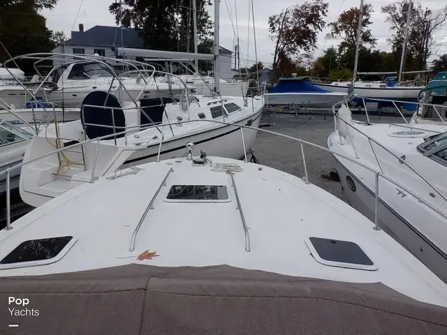 Sea Ray 310 Sundancer