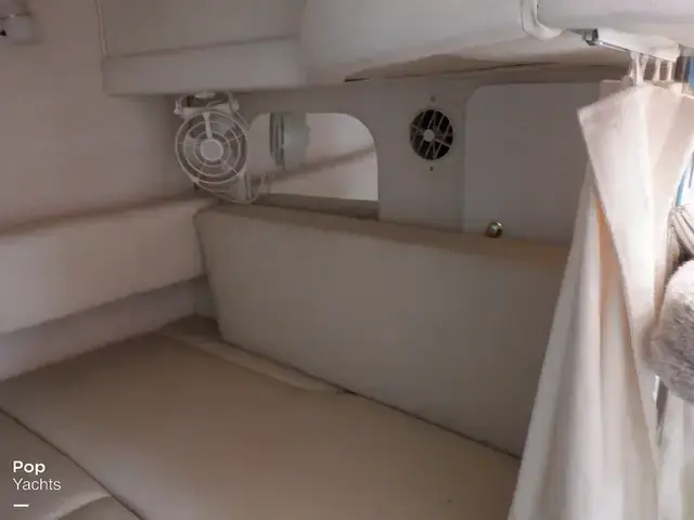 Sea Ray 310 Sundancer