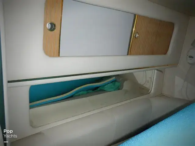 Sea Ray 310 Sundancer