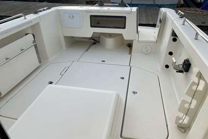 Arvor 690 Pilothouse