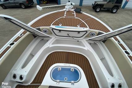 Tidewater 2700 Carolina Bay Custom