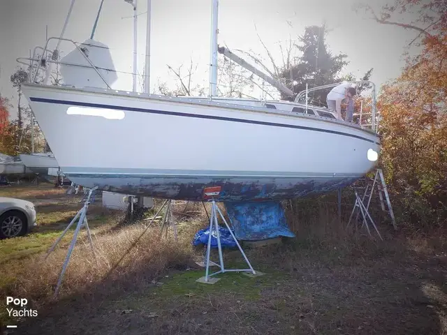 Hunter 30