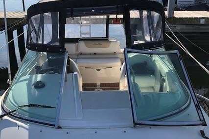 Sea Ray 235 Weekender