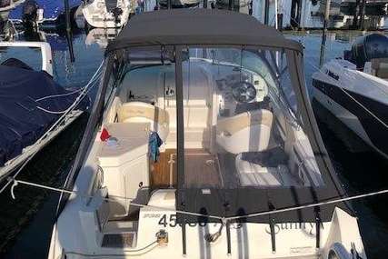 Sea Ray 235 Weekender