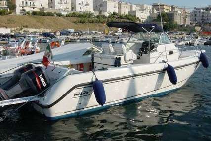 Boston Whaler 28 Outrage