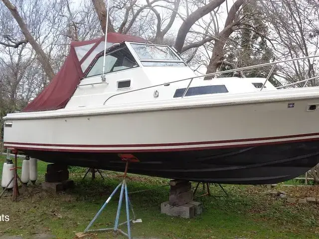 Limestone 24 Express Cruiser