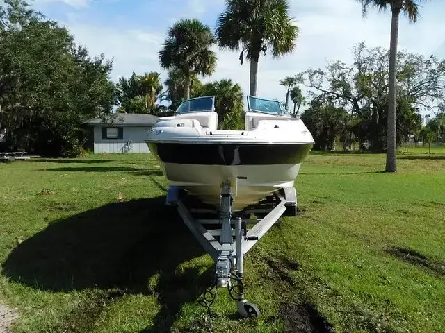 Sea Ray 240 Sundeck