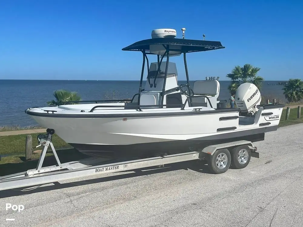 1999 Boston Whaler 21 outrage (justice edition)