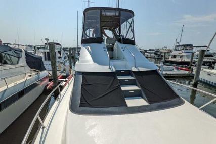 Luhrs Flybridge