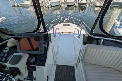 Luhrs Flybridge