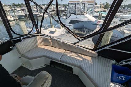 Luhrs Flybridge