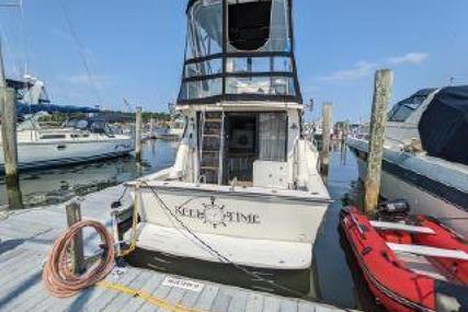 Luhrs Flybridge