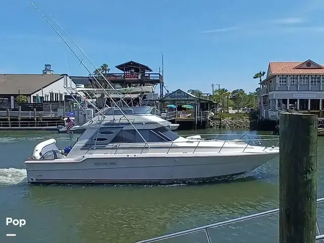 Sea Ray 430 Convertible