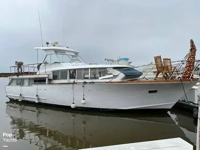 Owens 42 Aruba