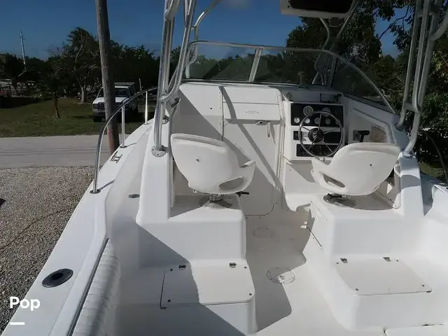 Sport Craft 261 Walk Around