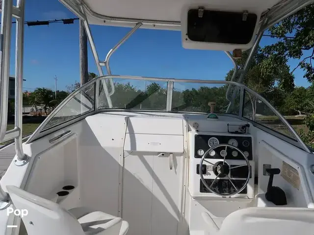 Sport Craft 261 Walk Around