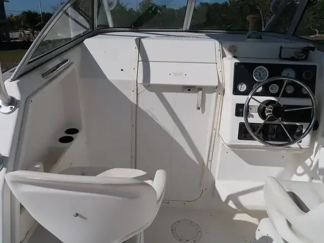 Sport Craft 261 Walk Around