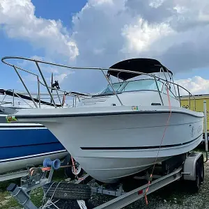 2001 Bayliner Trophy 2302