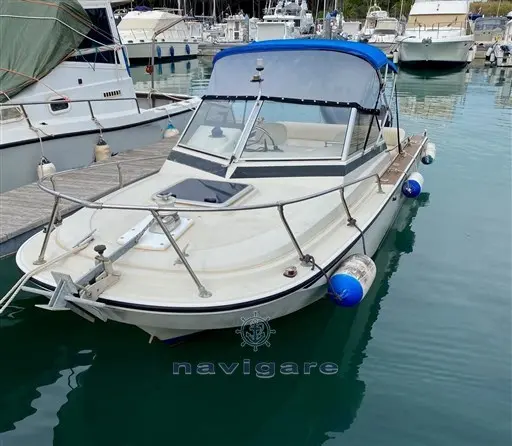 1982 Boston Whaler 20 revenge