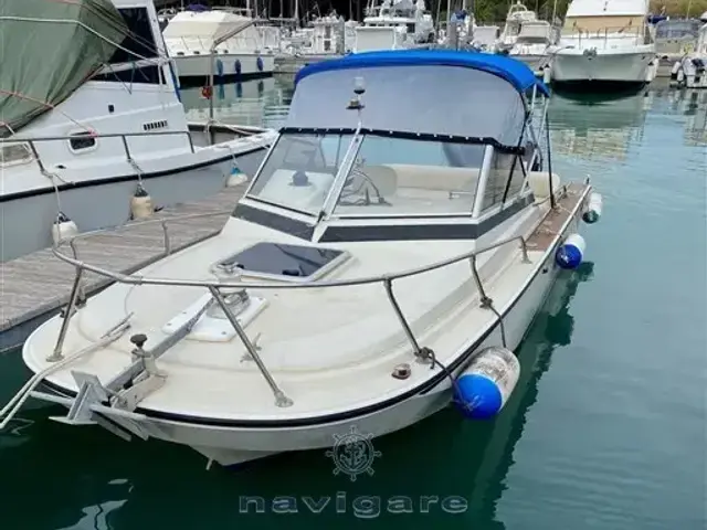 Boston Whaler 20 Revenge