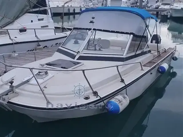 Boston Whaler 20 Revenge