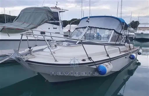 1982 Boston Whaler 20 revenge