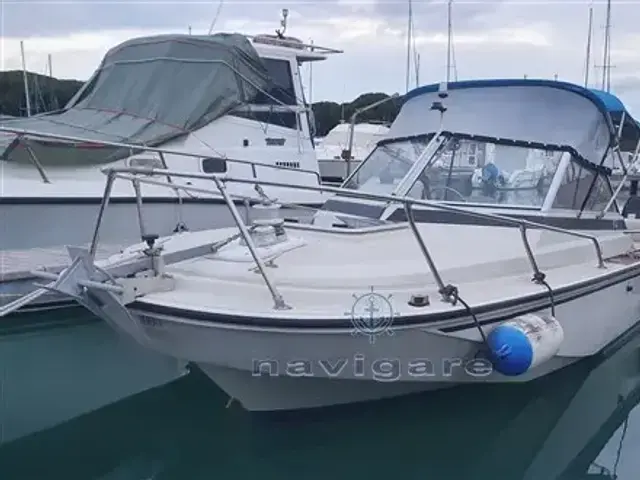 Boston Whaler 20 Revenge