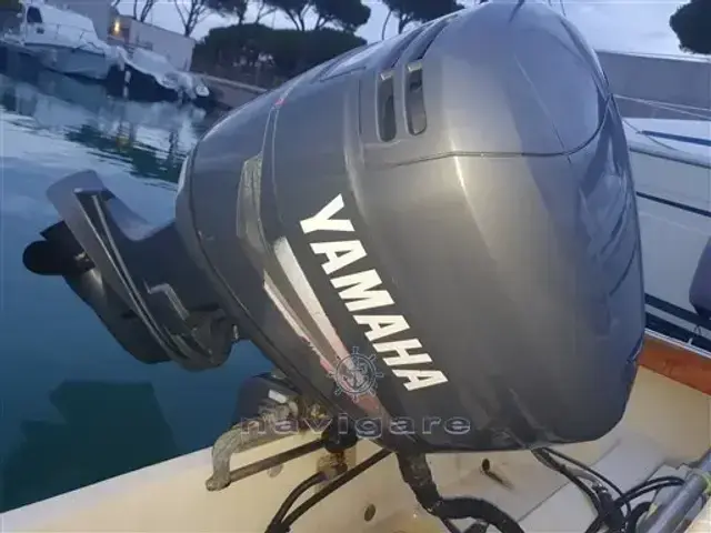 Boston Whaler 20 Revenge