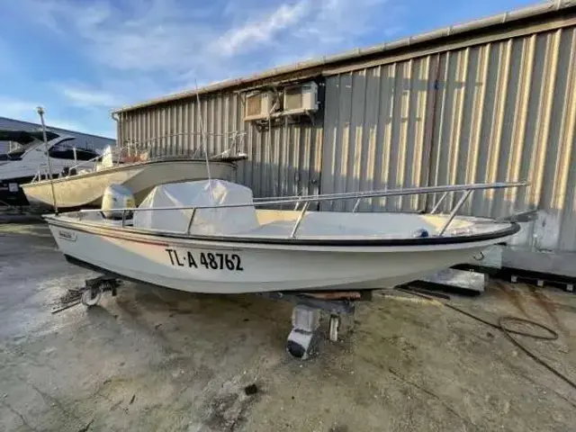 Boston Whaler 15 EUROPA