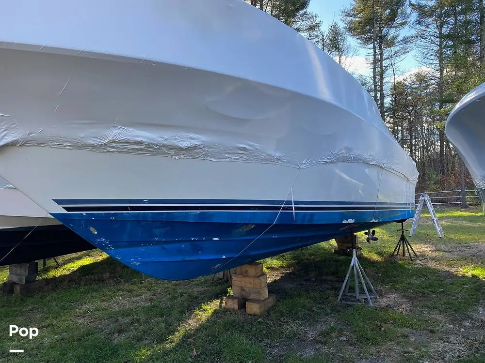 1989 Sea Ray sundancer 300