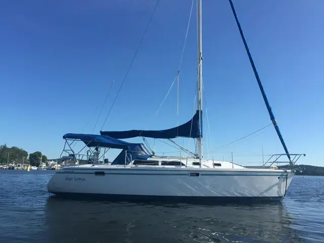 Catalina 320