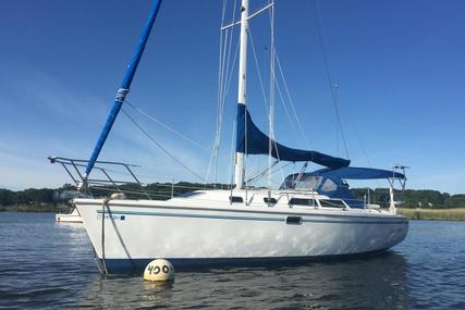 Catalina 320