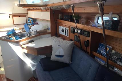 Catalina 320