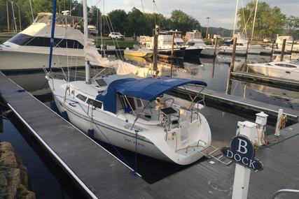 Catalina 320