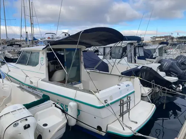 Ocqueteau ESPACE 685