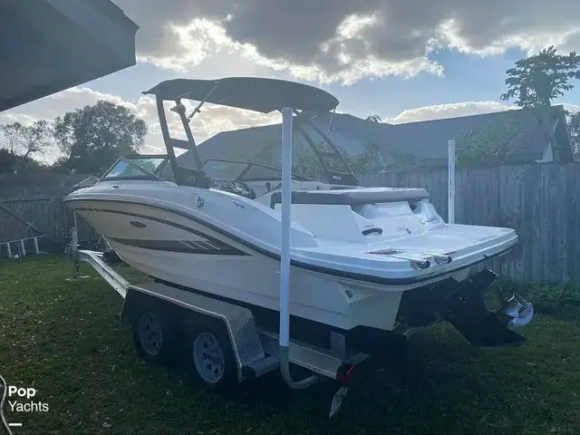 Sea Ray 19SPX