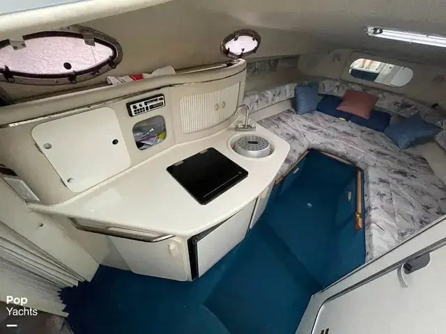 Sea Ray 250 Sundancer