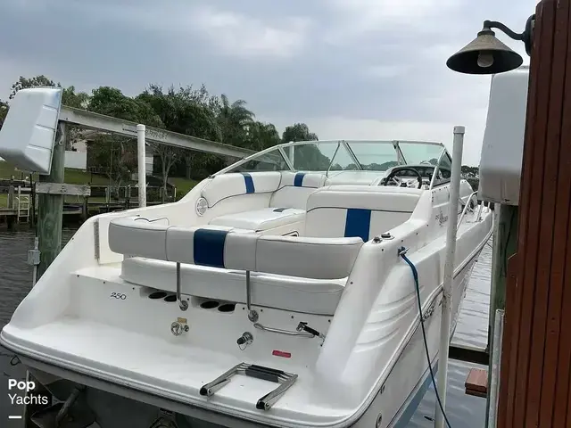 Sea Ray 250 Sundancer