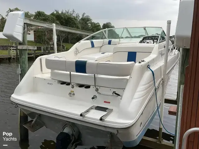 Sea Ray 250 Sundancer