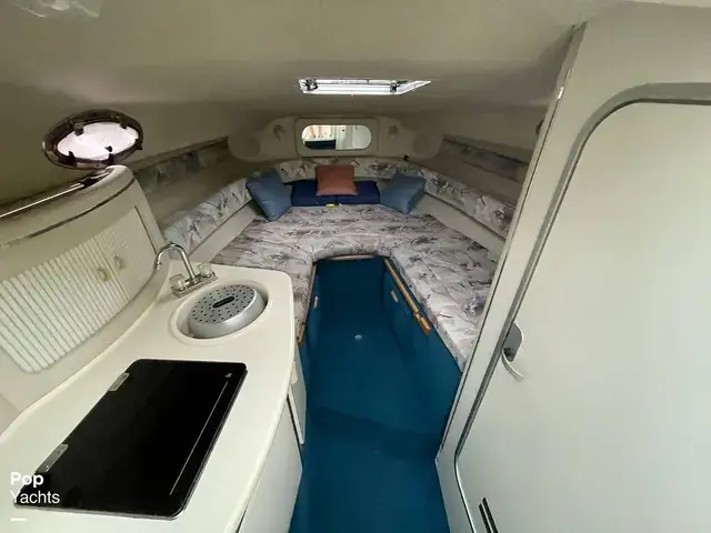 Sea Ray 250 Sundancer