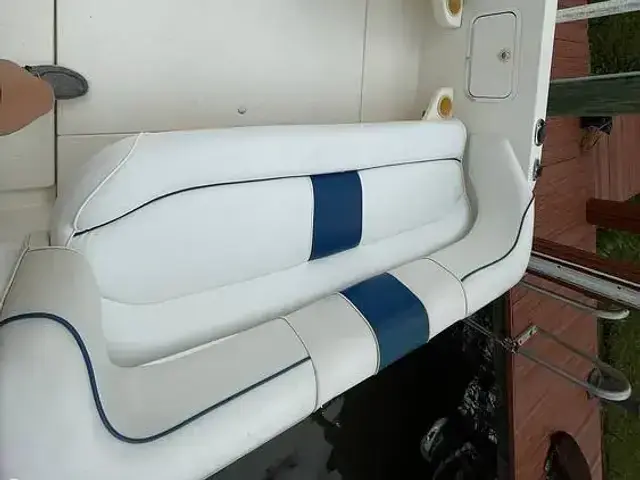 Sea Ray 250 Sundancer