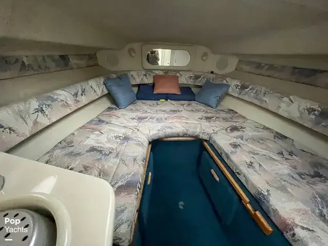 Sea Ray 250 Sundancer